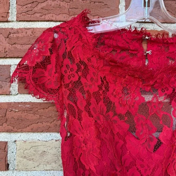 monique lhuillier red lace dress Red Floral Lace Gown